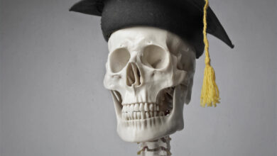 ömür-boyu-öğrenme1