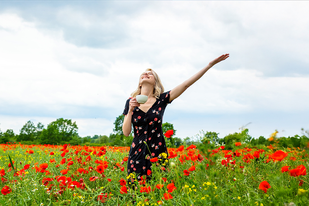 Online Yaşam Koçluğu / Online Koçluk