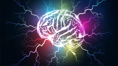 beyin temelli koçluk