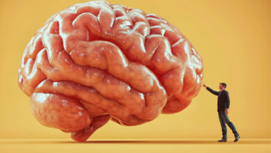 beyin-temelli koçluk