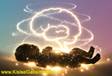 Üç çeşit beyin hücresi vardır.