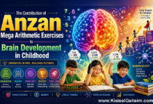 gelişimsel nöroplastisite döneminde anzan mega aritmetik egzersizlerinin önemi ve katkısı