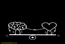 bütüncül eğitim modeli