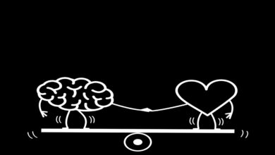 bütüncül eğitim modeli