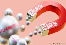 disiplin mi motivasyon mu