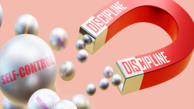 disiplin mi motivasyon mu