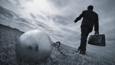 irade kullanım kılavuzu