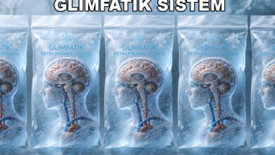 glimfatik drenaj / glimfatik sistem