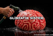 glimfatik drenaj - beyin temizleme sistemi - beyin temizliği