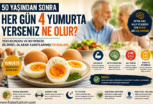 50 yaştan sonra yumurta yemek
