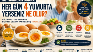 50 yaştan sonra yumurta yemek