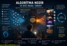 algoritma nedir