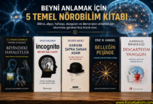 beyni anlama kitapları