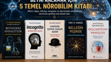 beyni anlama kitapları