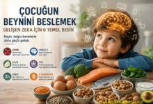 Bebeğinizin Zekâsını Geliştiren 6 Temel Besin