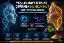 yaşlanmayı tersine çevirmek